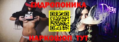 прущие крисы Северобайкальск
