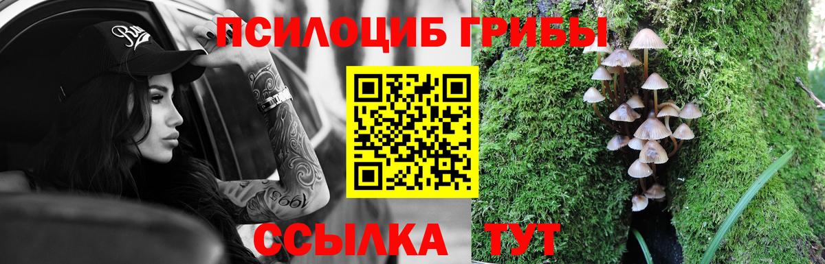 Галлюциногенные грибы прущие грибы Октябрьский